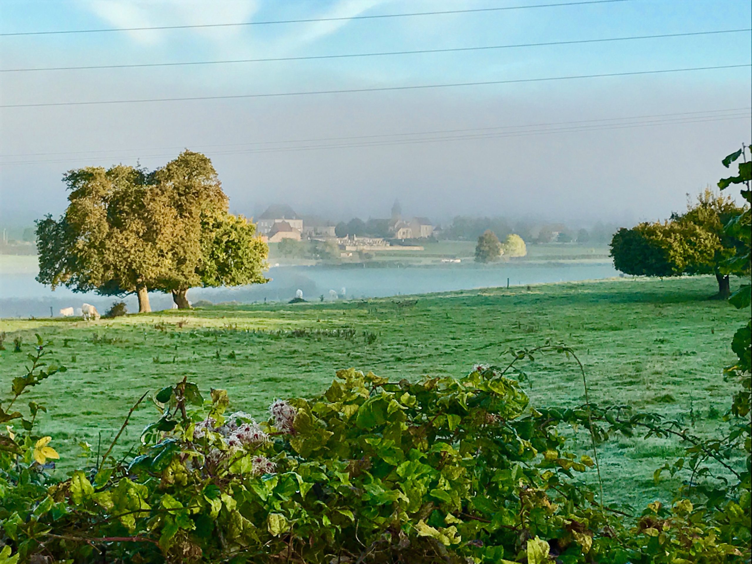 champlecy 3